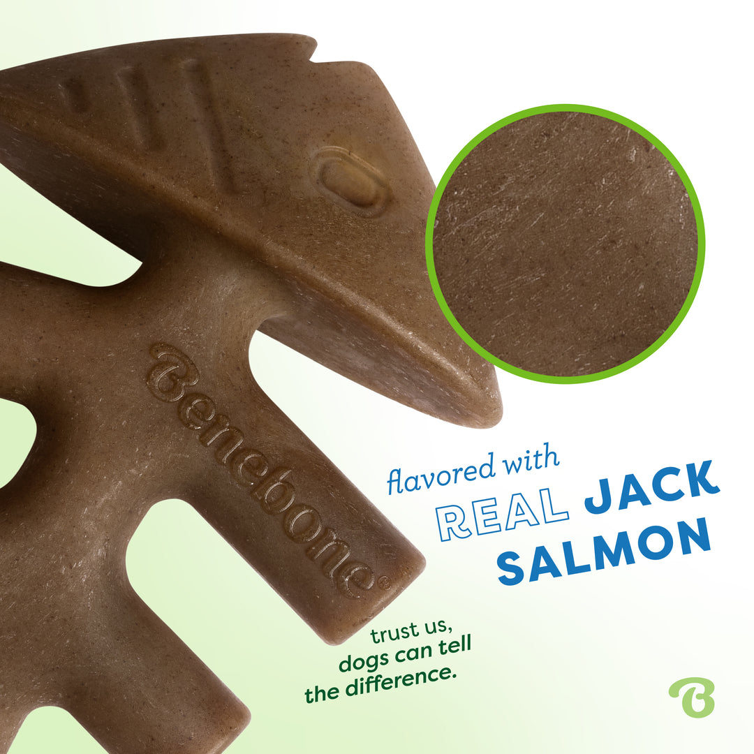 Benebone Jack Salmon Infused Fishbone | Durable Dog Chew Toy
