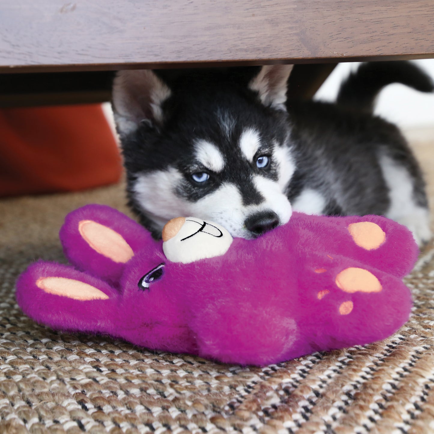 Dog peeking from under a table with a purple plush dog toy on a textured surface
