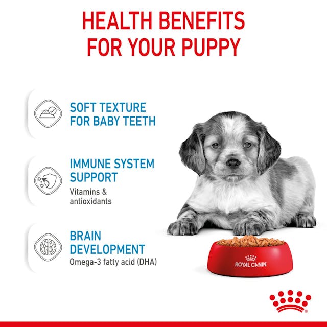 Royal Canin Medium Puppy 🐕 Size Health Nutrition Wet Dog Food