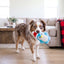 Kong Holiday Snuzzles Santa Penguin 🧑‍🎄 Christmas Dog Toy