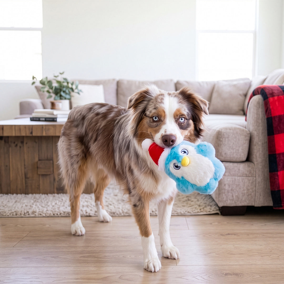 Kong Holiday Snuzzles Santa Penguin 🧑‍🎄 Christmas Dog Toy
