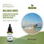 PhytoPet | Garlic & Echinacea Complex for Natural Immune Defence