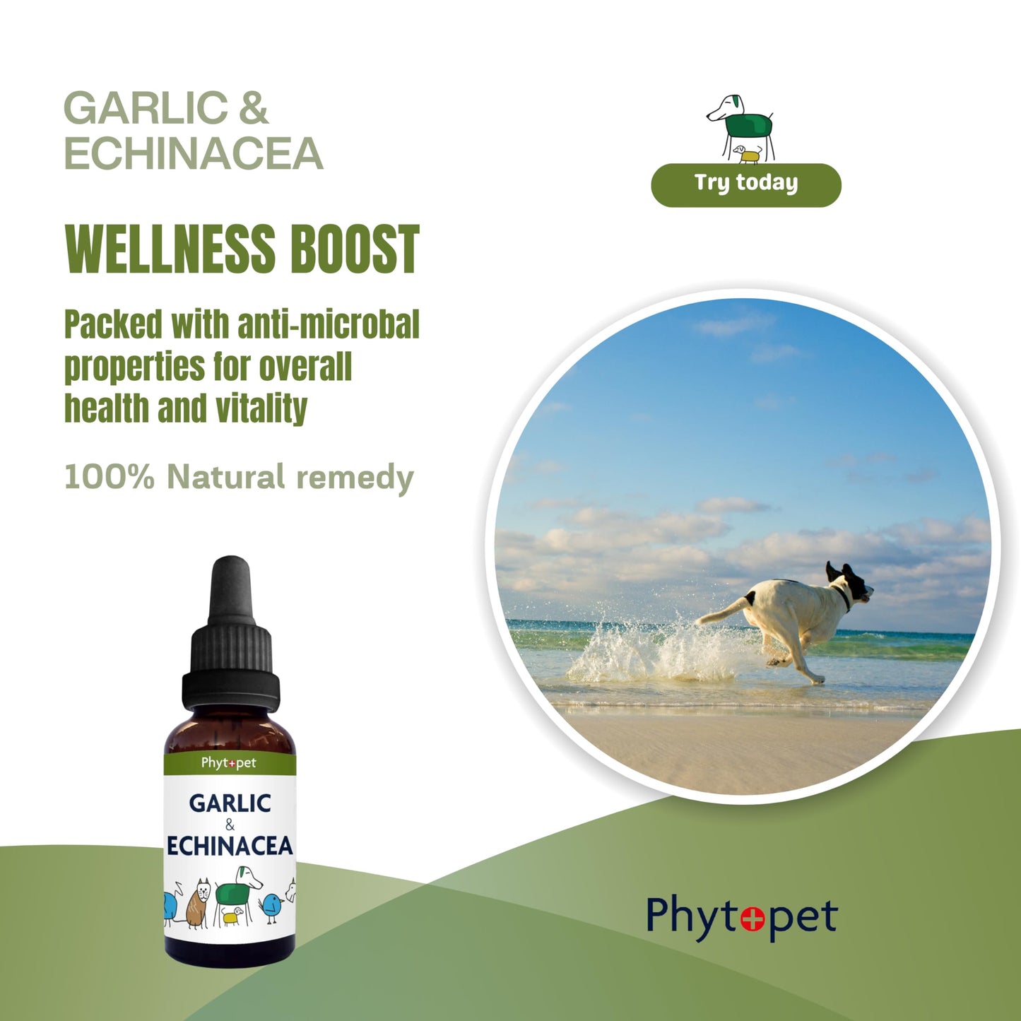 PhytoPet | Garlic & Echinacea Complex for Natural Immune Defence