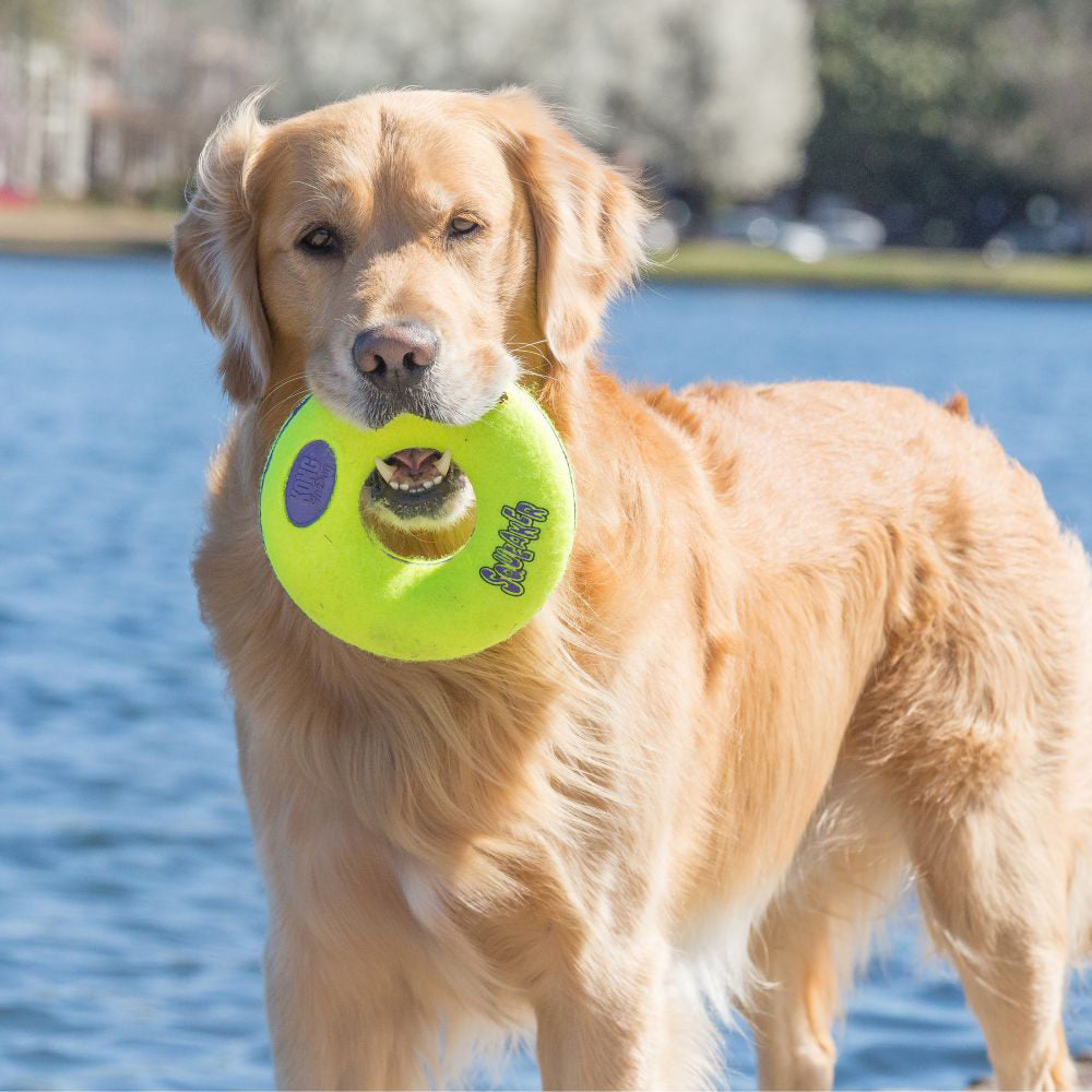 KONG AirDog Donut | Dog Toy