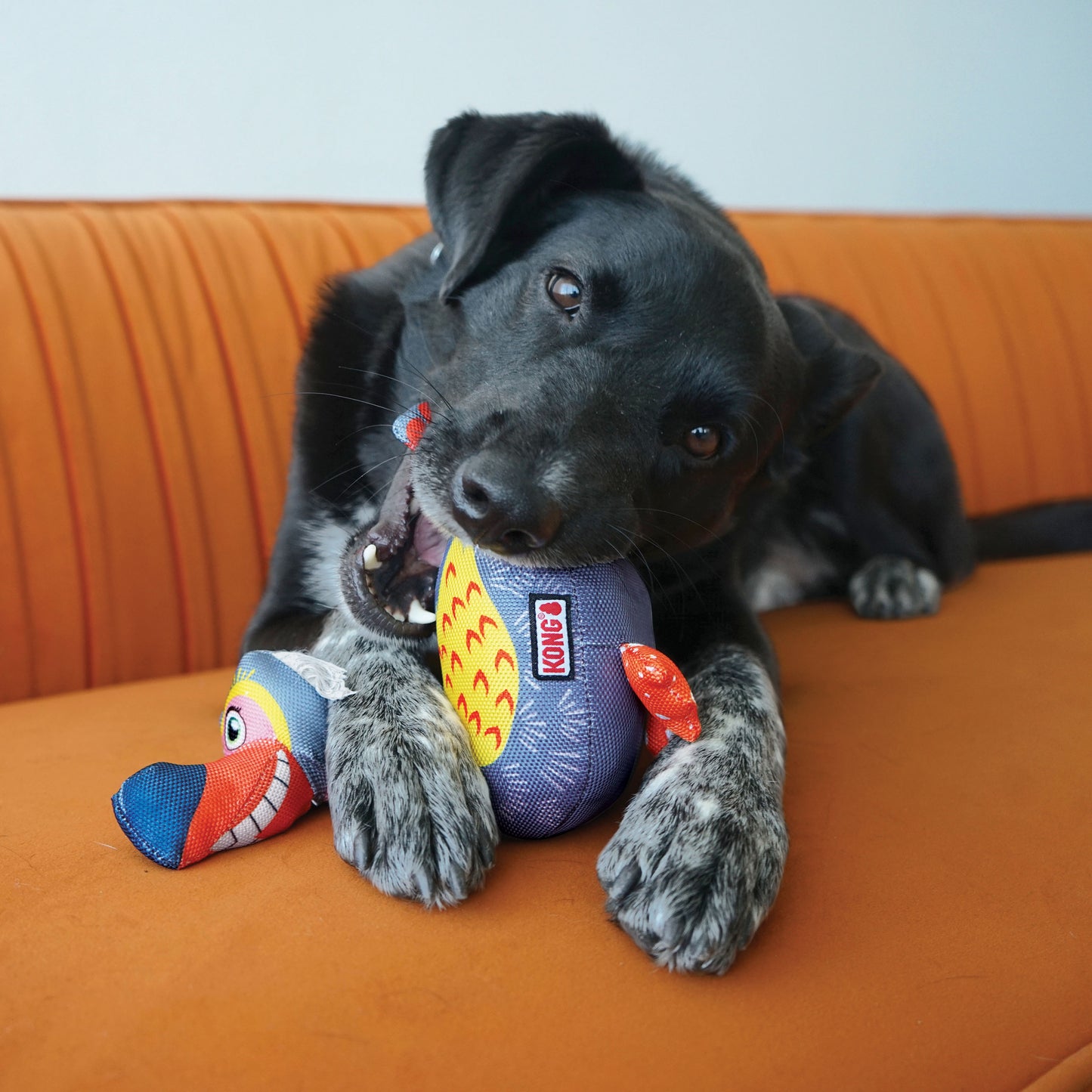 KONG Ballistic Vibez Birds | Dog Tough Plush Toy