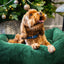 Rosewood Green Faux Fur Festive Pet Bed | Dog Christmas Gift