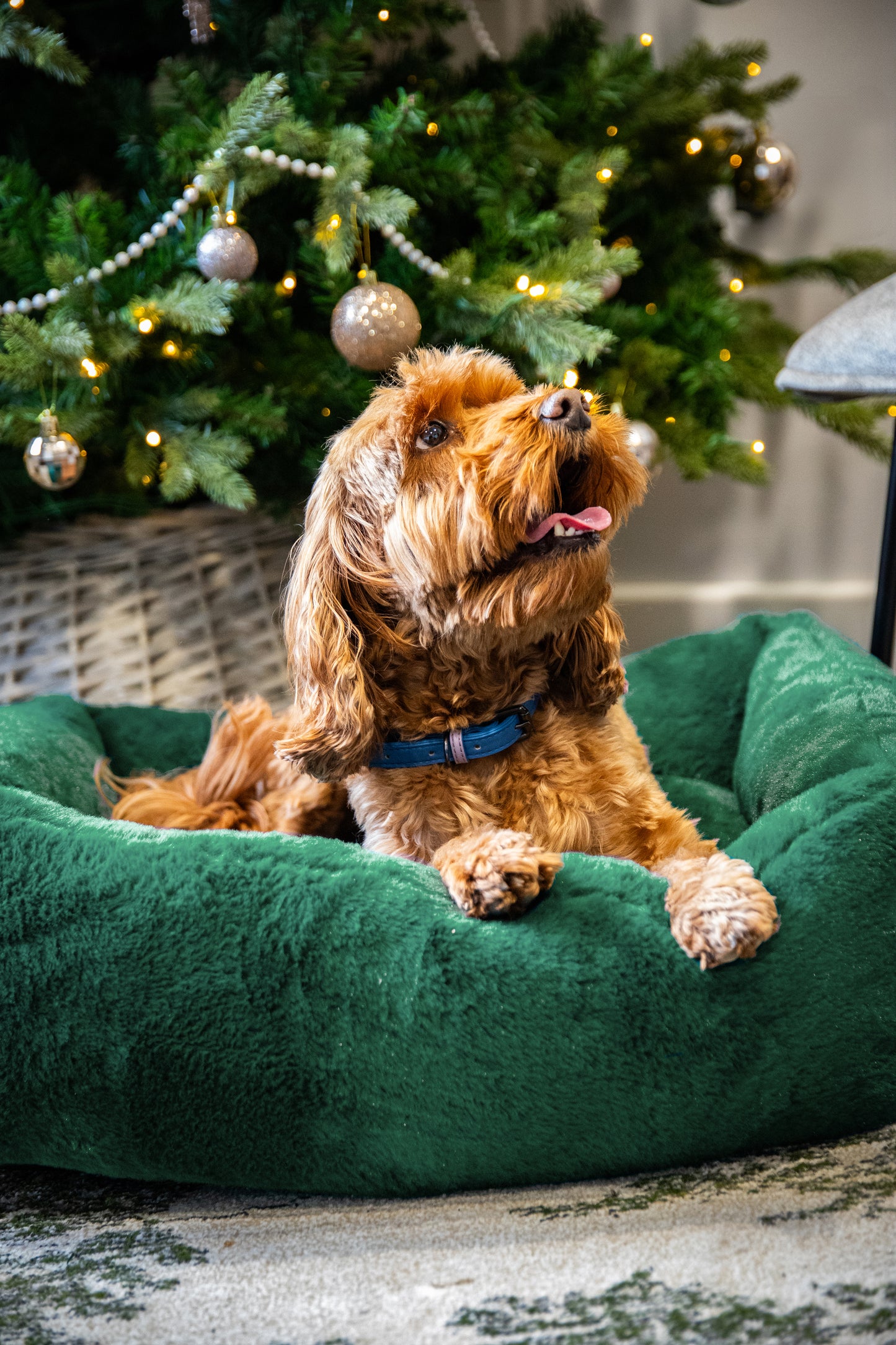 Rosewood Green Faux Fur Festive Pet Bed | Dog Christmas Gift