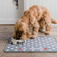 Dinner Mate Absorbent Food & Water Bowl Mat by Pet Rebellion