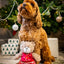 Rosewood Buddy Bear | Festive Soft Dog Toy