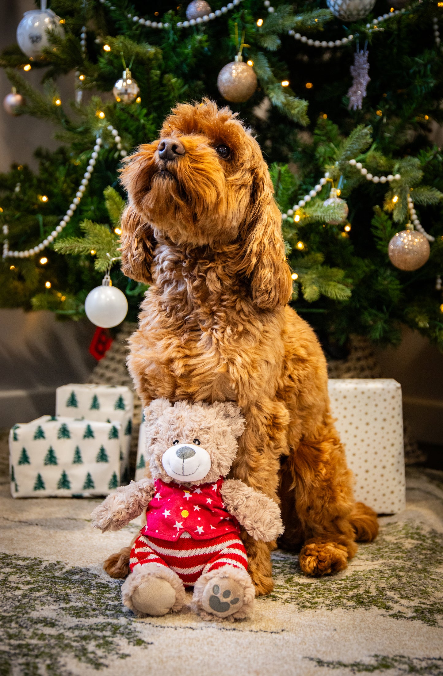 Rosewood Buddy Bear | Festive Soft Dog Toy