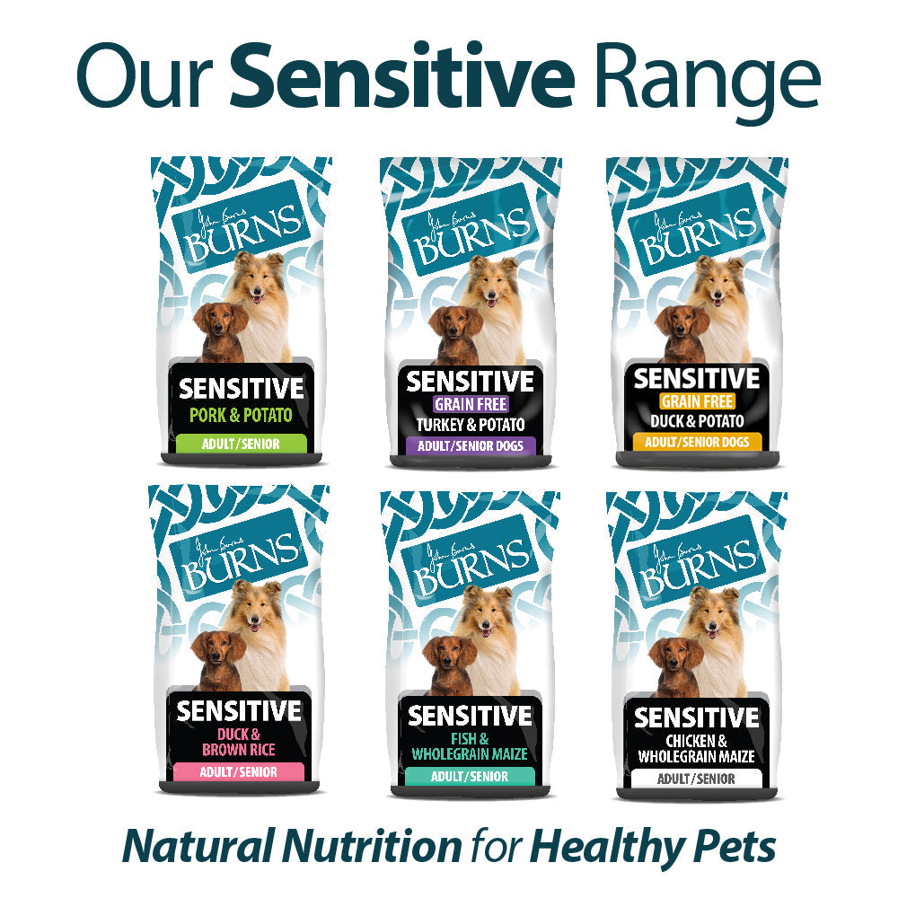 Burns Sensitive Adult Duck & Brown Rice 🦆 Holistic Gluten Free Dry Dog Food