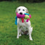 Rosewood Chubleez | Chloe Cow | Soft Dog Toy