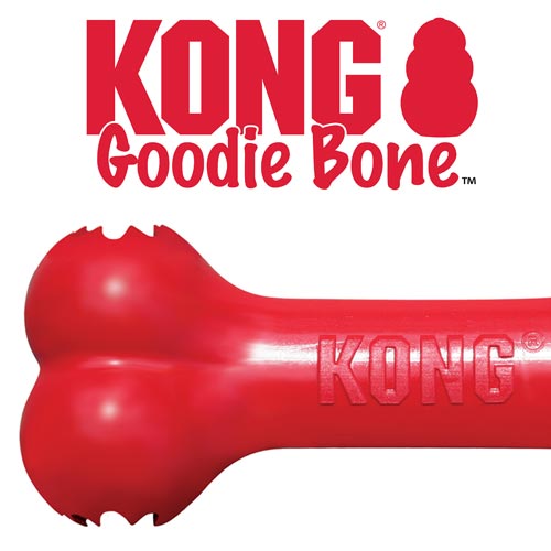 KONG Goodie Bone Holiday Medium 🎄 Christmas Dog Toy