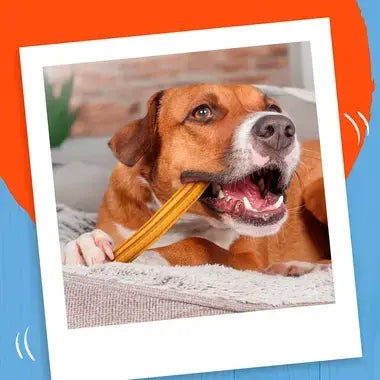 Bakers Dental Delicious Everyday Chews 🦷 Chicken & Beef Flavour