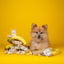 Yakers Peanut Butter & Banana 🍌🥜🧀 Himalyan Yak Milk | Hard Cheese Dog Chew
