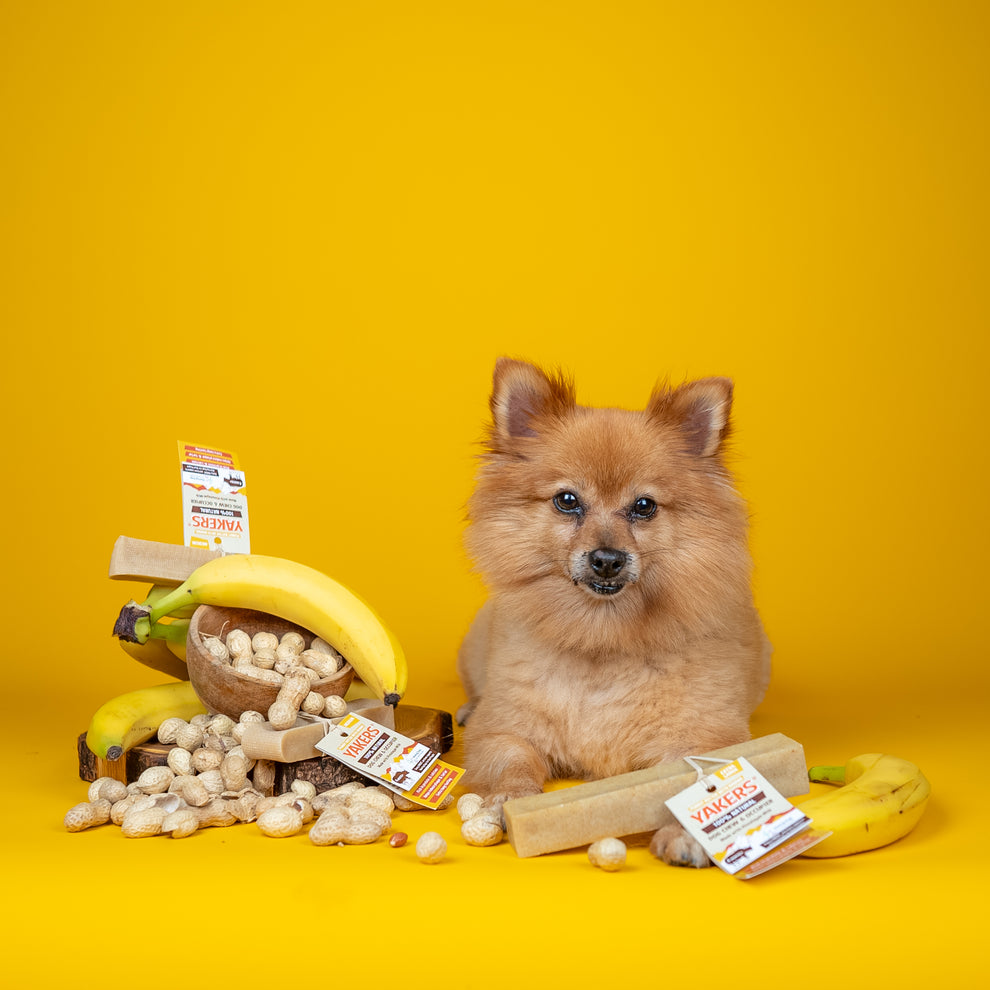 Yakers Peanut Butter & Banana 🍌🥜🧀 Himalyan Yak Milk | Hard Cheese Dog Chew