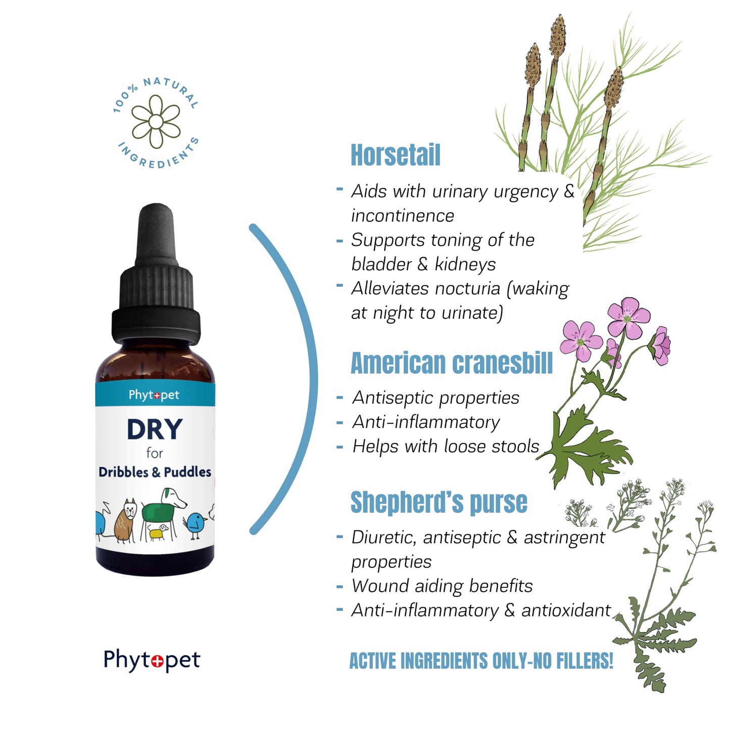 Phytopet | Herbal Remedy for Urinary Function & Bladder Control | Dry for Dribbles & Puddles
