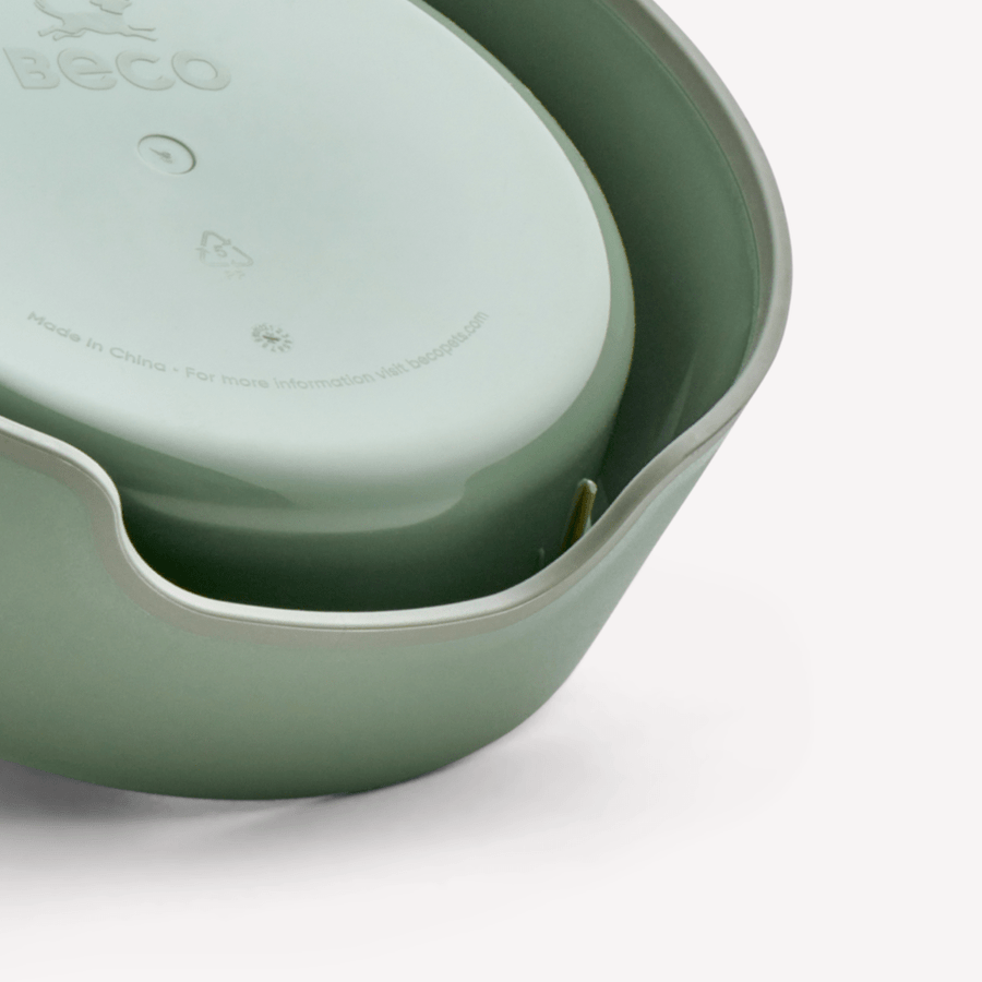 Beco | Cat Food & Water Steady Bowl | Eco Friendly Recycled Plastic - Green