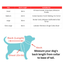 Dog size chart with measurements and recommended breeds for different sizes.