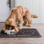 Dinner Mate Absorbent Food & Water Bowl Mat by Pet Rebellion