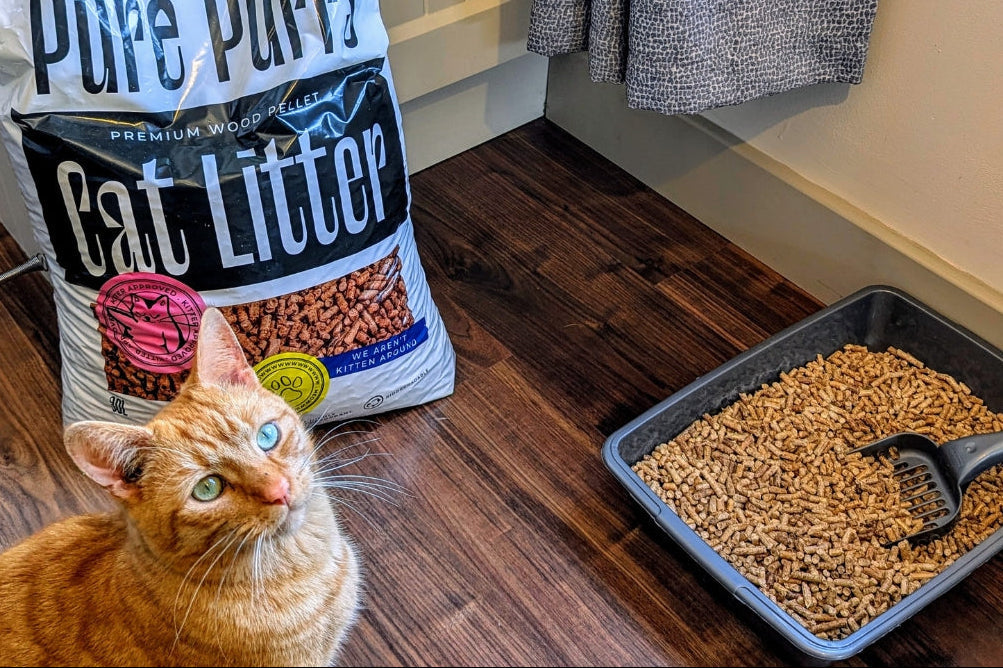 Pure Purrs Cat Litter 🐱 Premium Wood Pellets