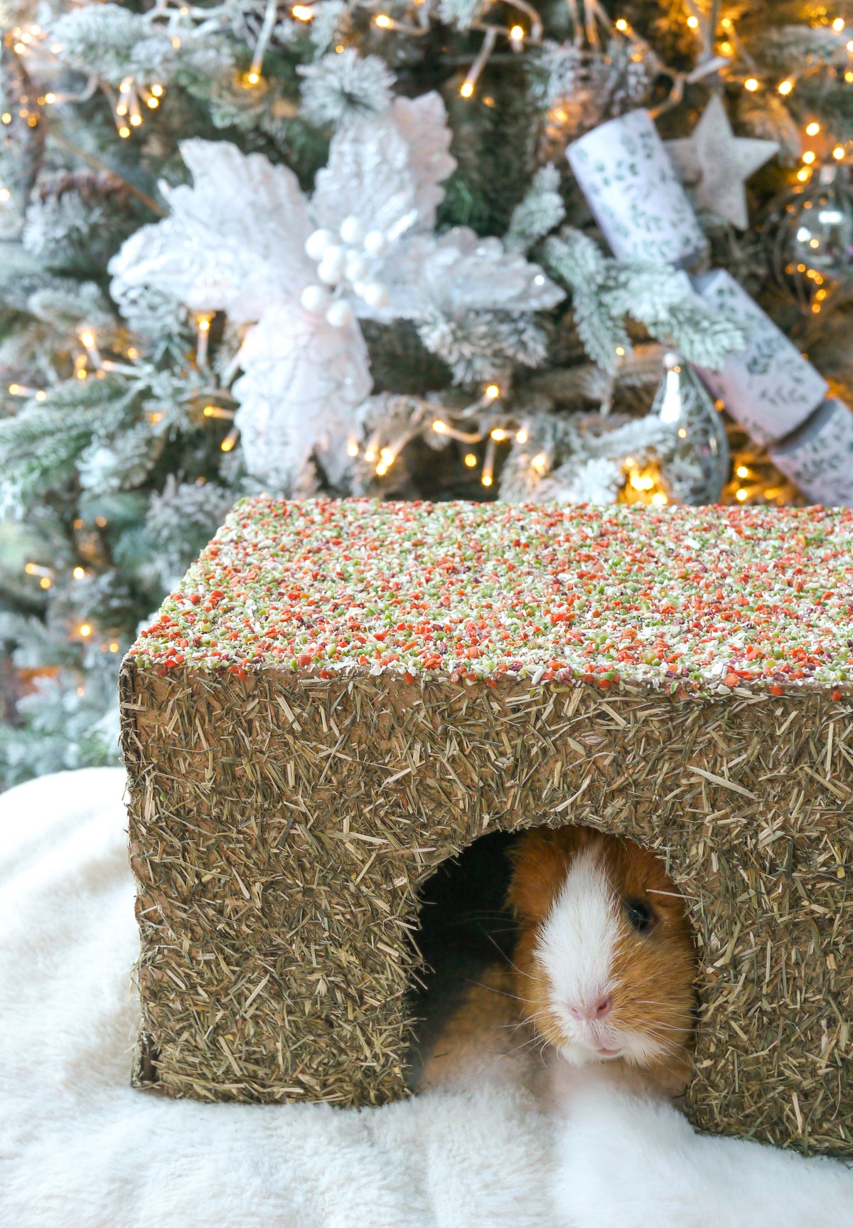 Naturals Winter Party Cottage 🎄 Christmas Small Pet House by Rosewood