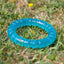 BioSafe | Germ Safe Puppy Ring Dog Toy