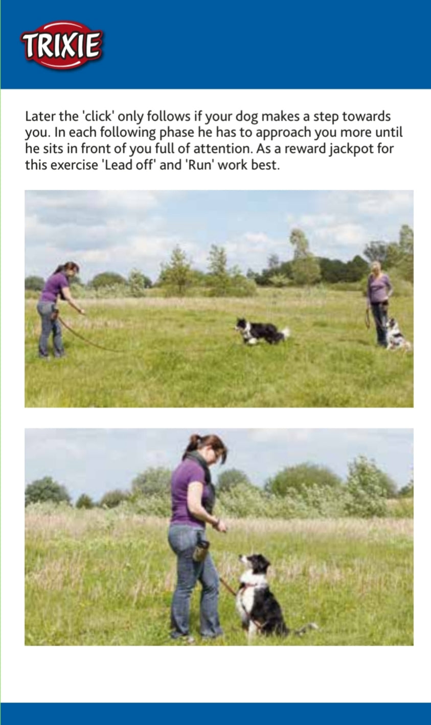 Trixie | Dog Activity | Training Touch Target Stick