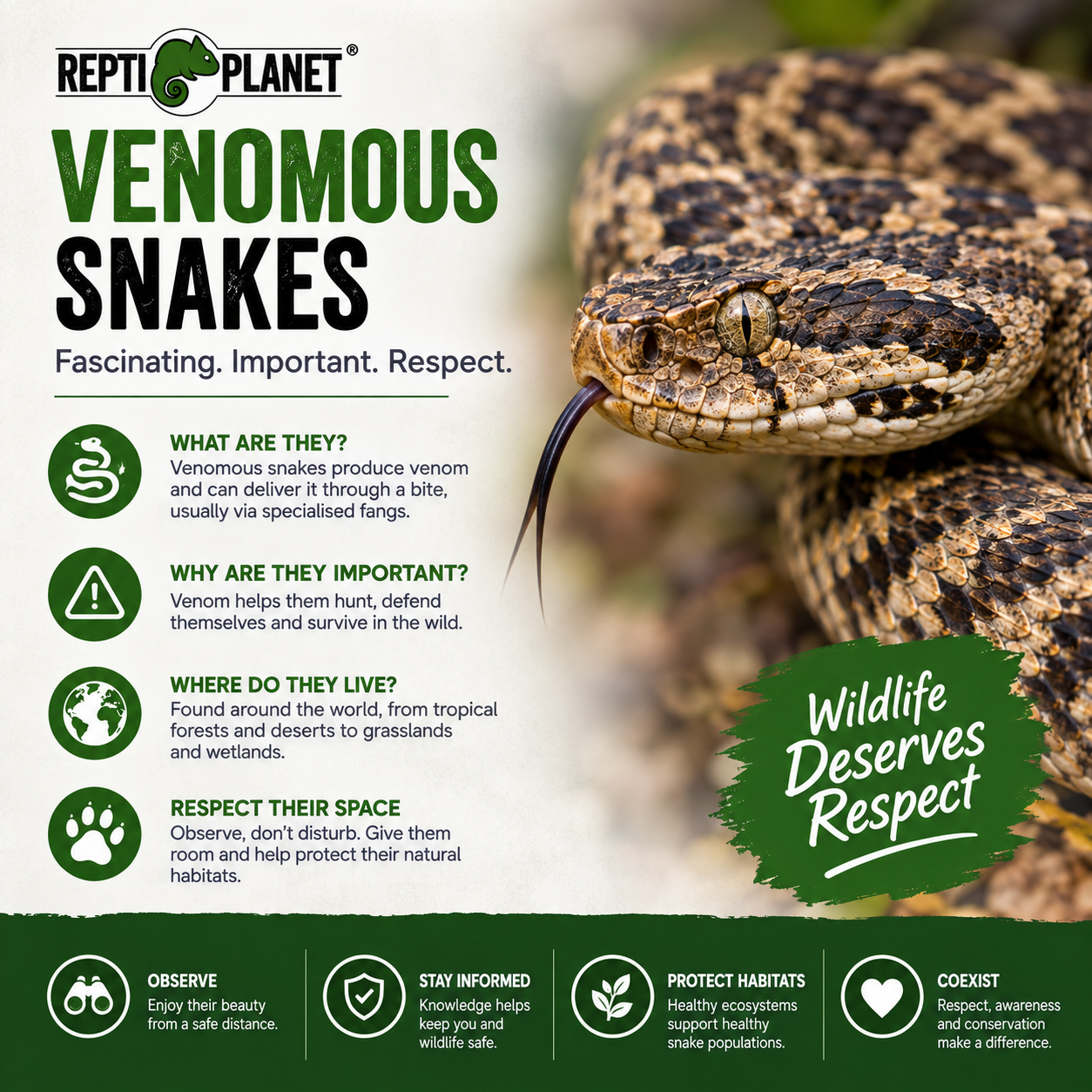 Repti Planet Telescopic Snake Hook Extendable from 26cm - 60cm