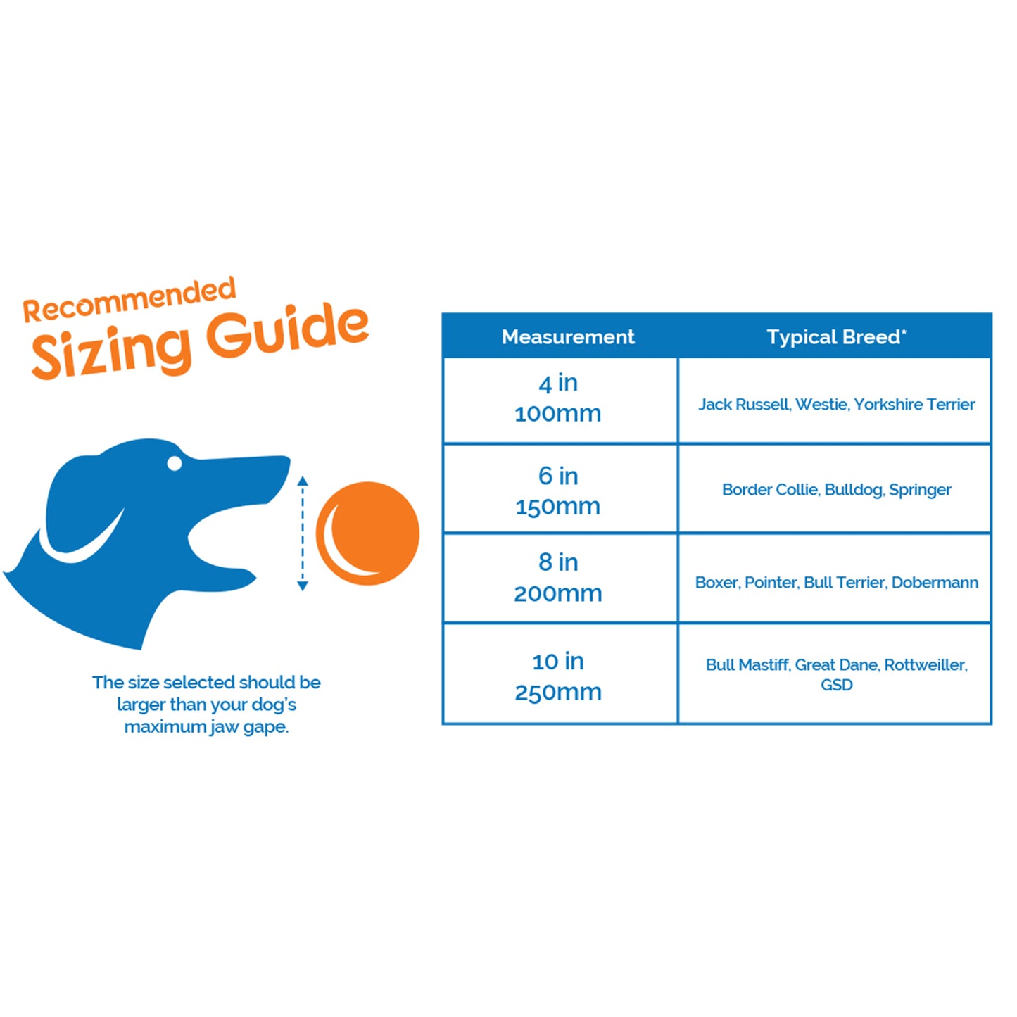 Dog sizing guide with measurement chart on a white background