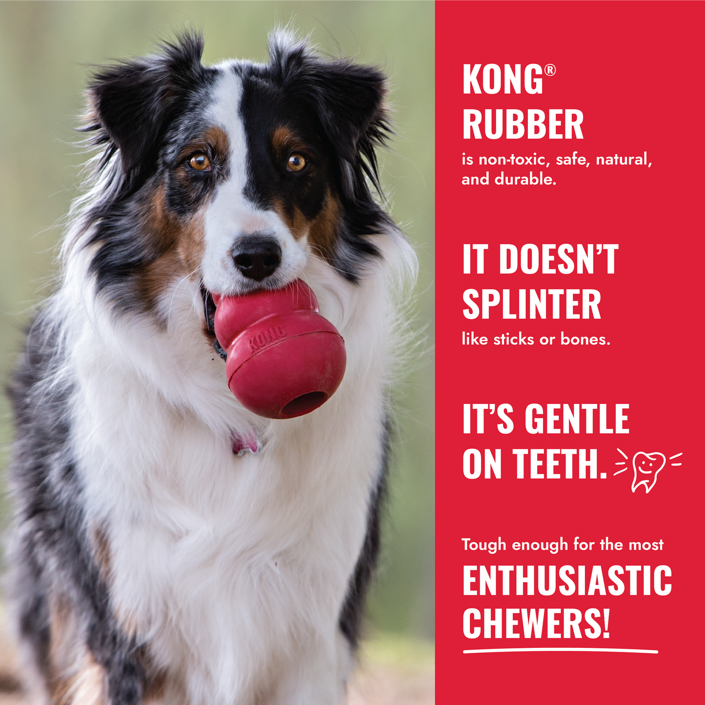 KONG Classic | Activity Stuff-a-Ball | Dog Treat Dispensing Chew Toy