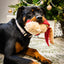 Rosewood Max Monkey | Festive Dog Toy