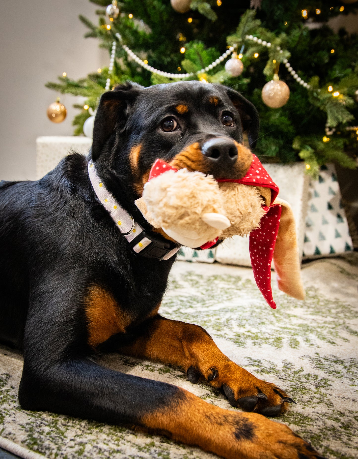 Rosewood Max Monkey | Festive Dog Toy