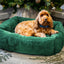 Rosewood Green Faux Fur Festive Pet Bed | Dog Christmas Gift