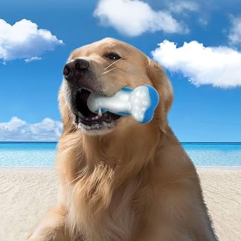Chill Out | Ice Bone | Dog Cooling Toy for Summer & Heatwaves