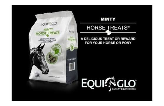 Equiglo Minty Horse Treats - 1kg