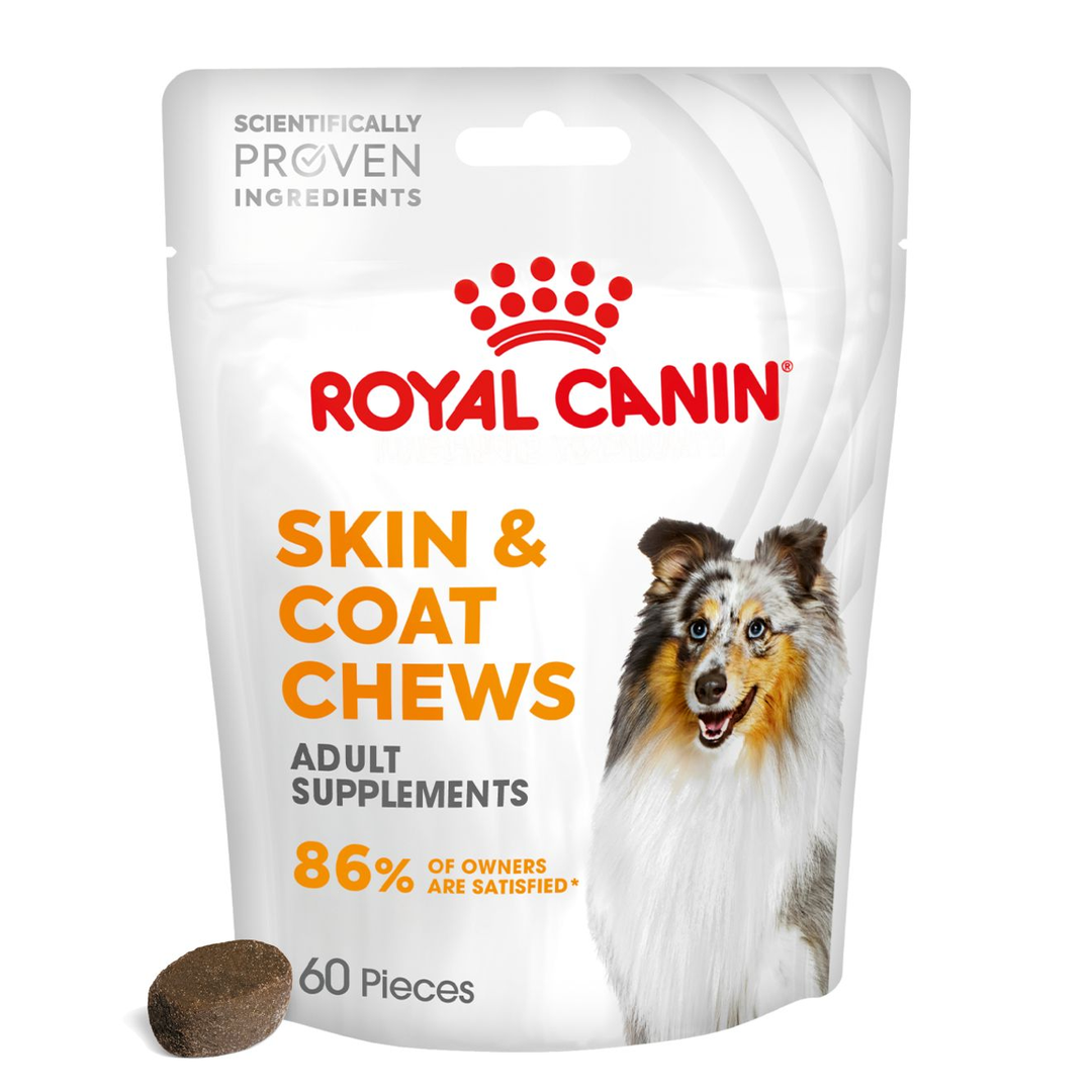 Royal Canin | Functional Dog Treats | Skin & Coat Chews - 240g