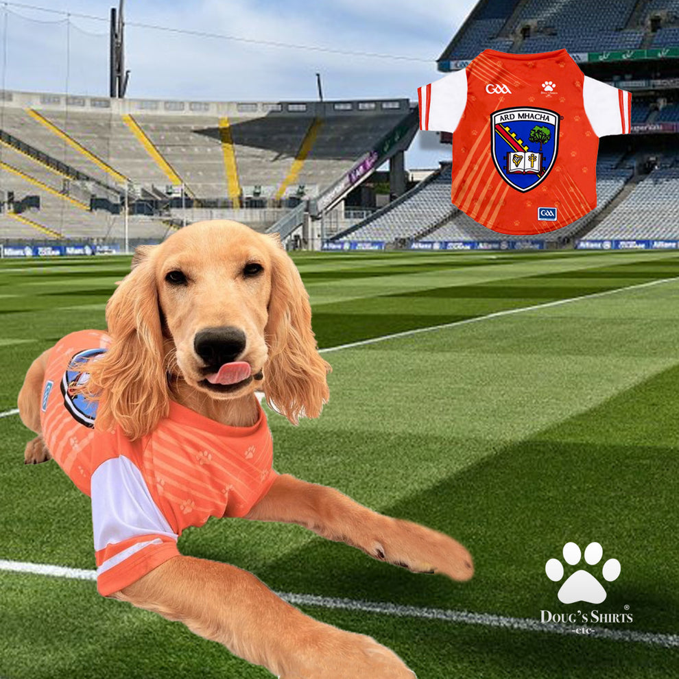Armagh GAA Dog Jersey County Football Shirt for Dogs