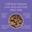 Barkt Calming Supplements for Dogs | Natural Remedy (was Vixen)