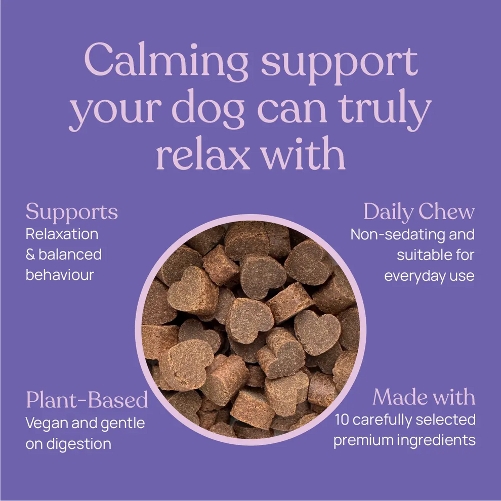 Barkt Calming Supplements for Dogs | Natural Remedy (was Vixen)