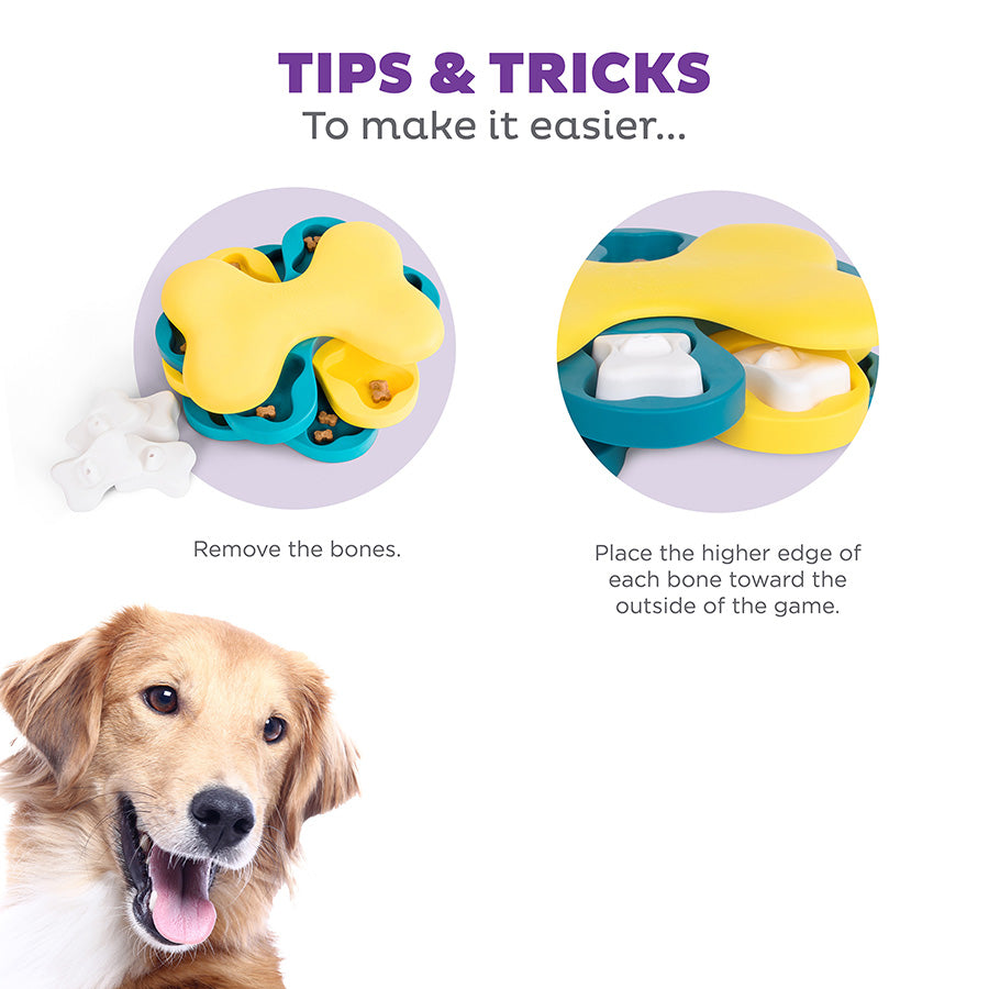 Dog toy with instructions on how to use it, featuring a dog looking at the camera.