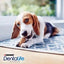 Dentalife Daily Oral Chew Sticks | Dental Dog Treats by Purina