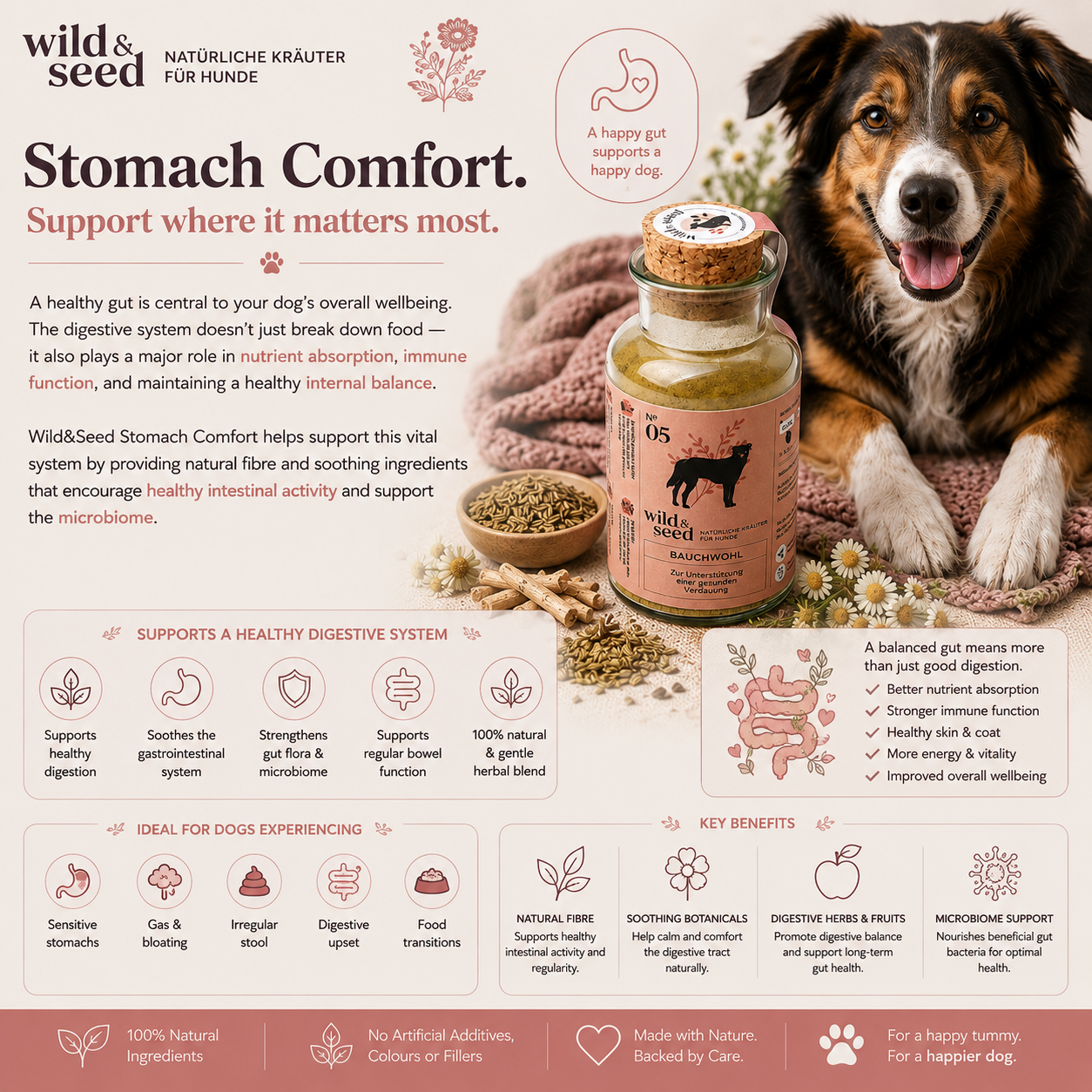 Wild&Seed Herbs No. 5 Bauchwohl | Natural Digestive & Gut Support for Dogs