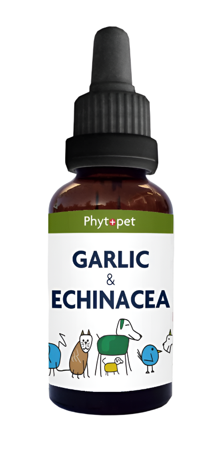 PhytoPet | Garlic & Echinacea Complex for Natural Immune Defence