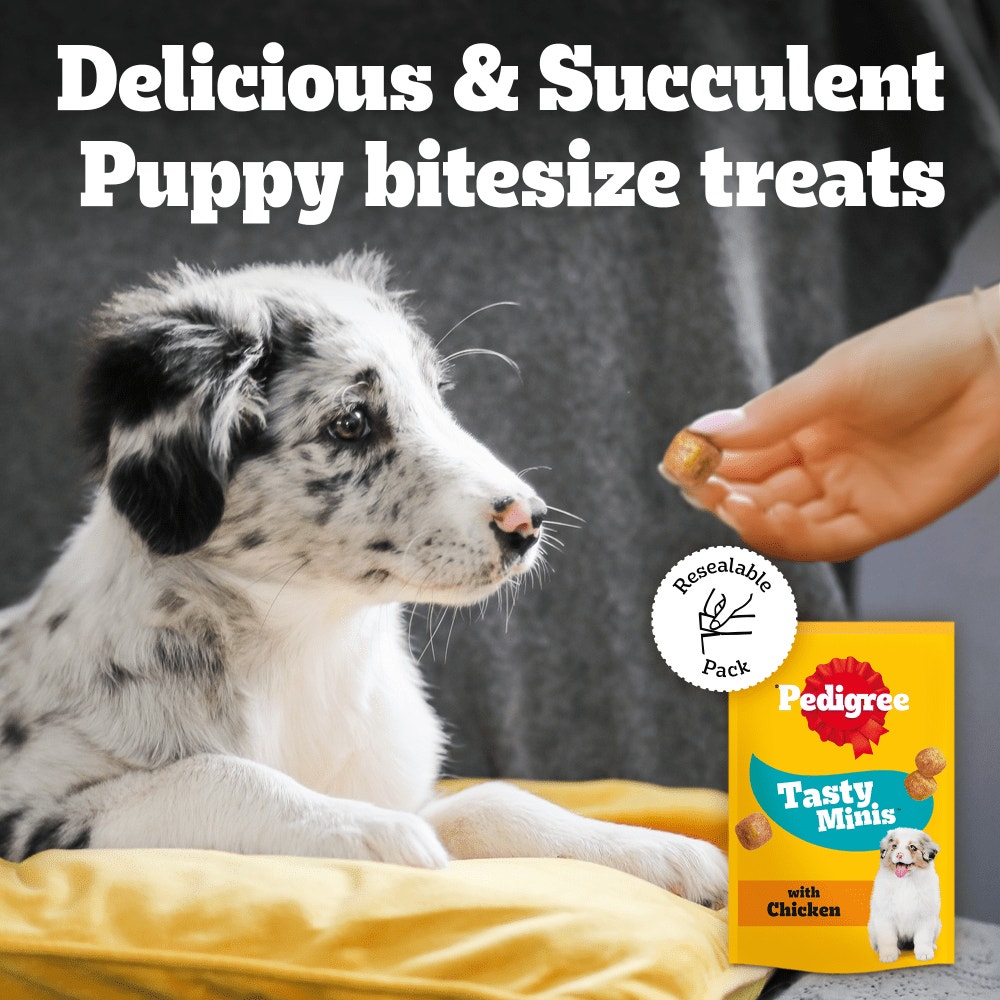 Pedigree Tasty Bites Minis Puppy Treats (125g)
