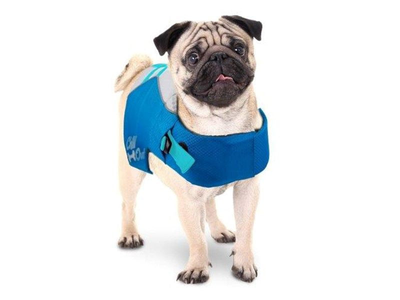 Chill Out | Dog Life Jacket for Safe Swimming