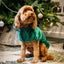 Dog green teddy bear drying robe towel