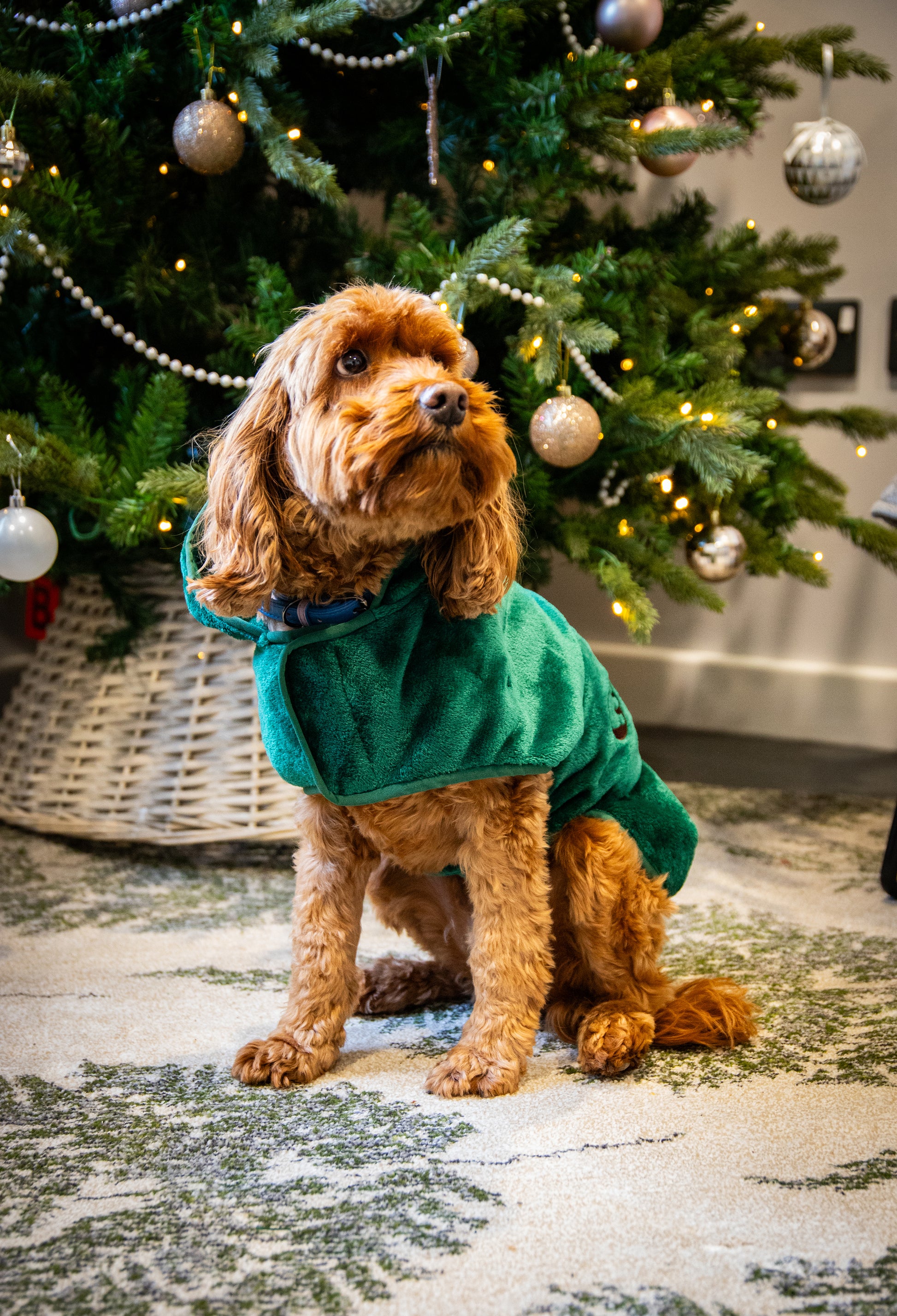 Dog green teddy bear drying robe towel