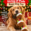 String of Puds Rope 🍮Christmas Dog Toy by Happy Pet