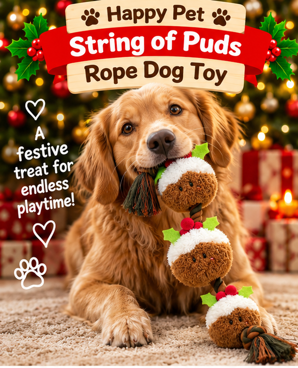 String of Puds Rope 🍮Christmas Dog Toy by Happy Pet